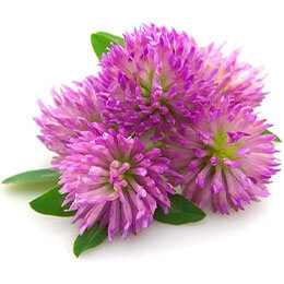 ingredient image