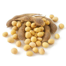 ingredient image