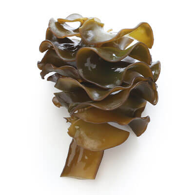 Fucoxanthin image