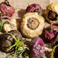 ingredient image