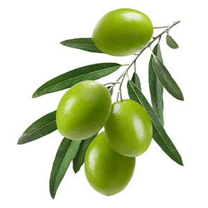 ingredient image