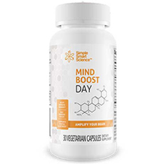 MindBoost Day