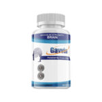 Gavvia Brain