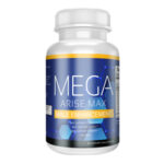 Mega Arise Max