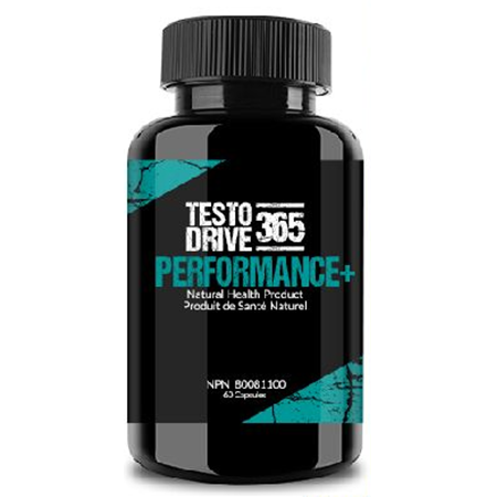 Testo Drive 365