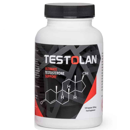 Testolan