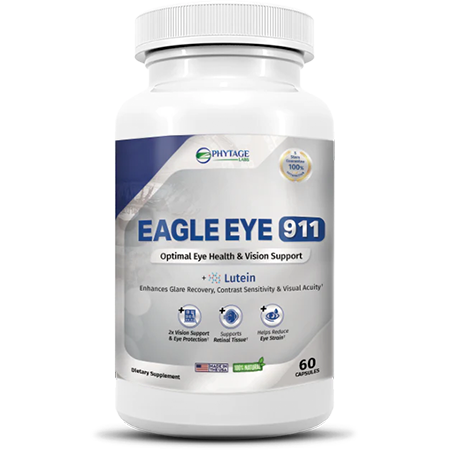 Eagle Eye 911