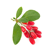 ingredient image