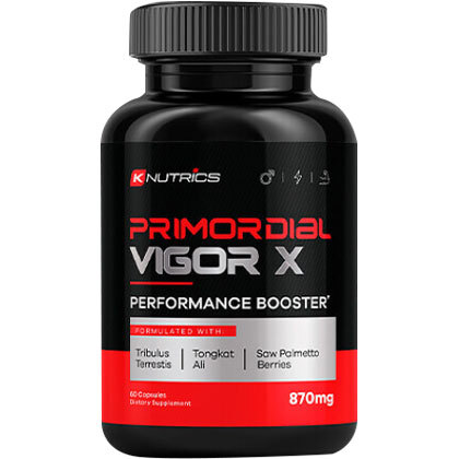 Primordial Vigor X